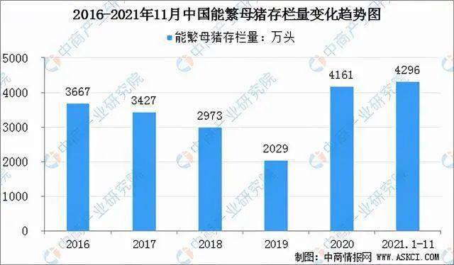 母猪存栏最新数据,母猪存栏最新数据及其影响，多维度观点分析