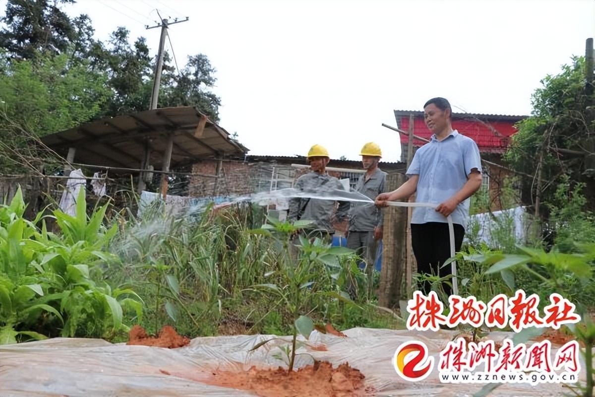 茶陵新闻最新消息获取指南，掌握最新动态，洞悉时事热点