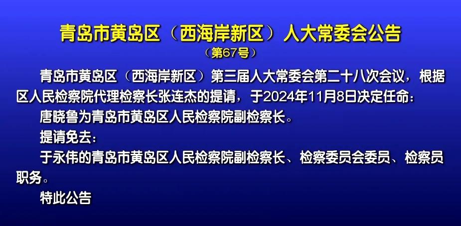青岛最新人事任免,青岛最新人事任免动态解析