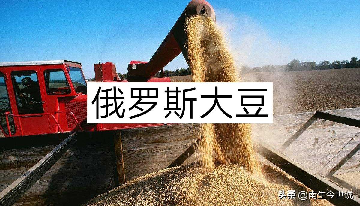 进口大豆价格最新行情,进口大豆价格最新行情📈🌱