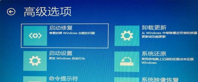 软件更新指南，确保您的软件保持最新版本的方法
