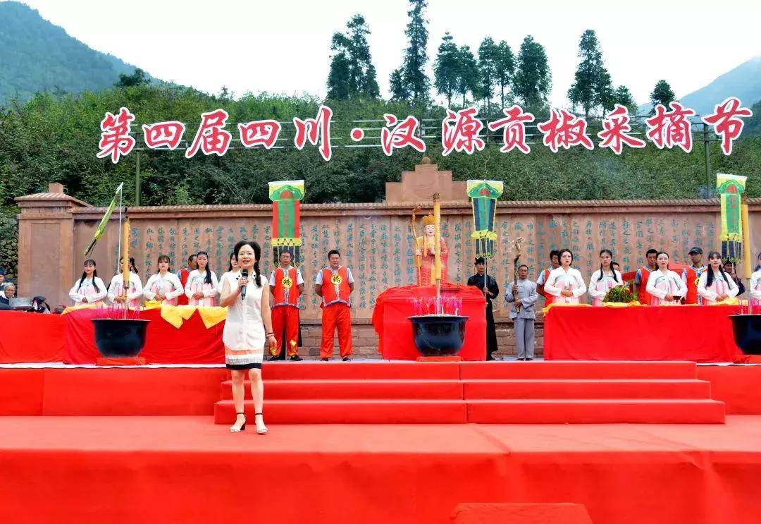 新五丰引领农业产业变革，最新消息揭示先锋力量
