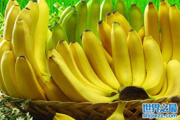 大香蕉最新网，观点论述与探讨
