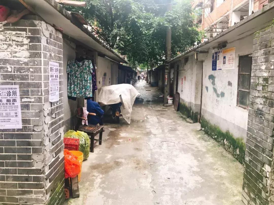 青春有你3最新排名与小巷特色小店的青春风味探索