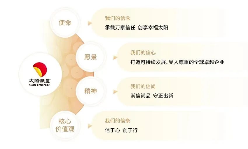 太阳纸业最新消息获取指南，适用于初学者与进阶用户