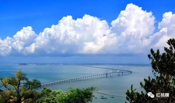 广东滨海公路最新消息,广东滨海公路最新消息与一段温馨的旅程