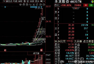 圣龙股份最新消息,圣龙股份最新消息，引领行业新动向，展现未来发展潜力