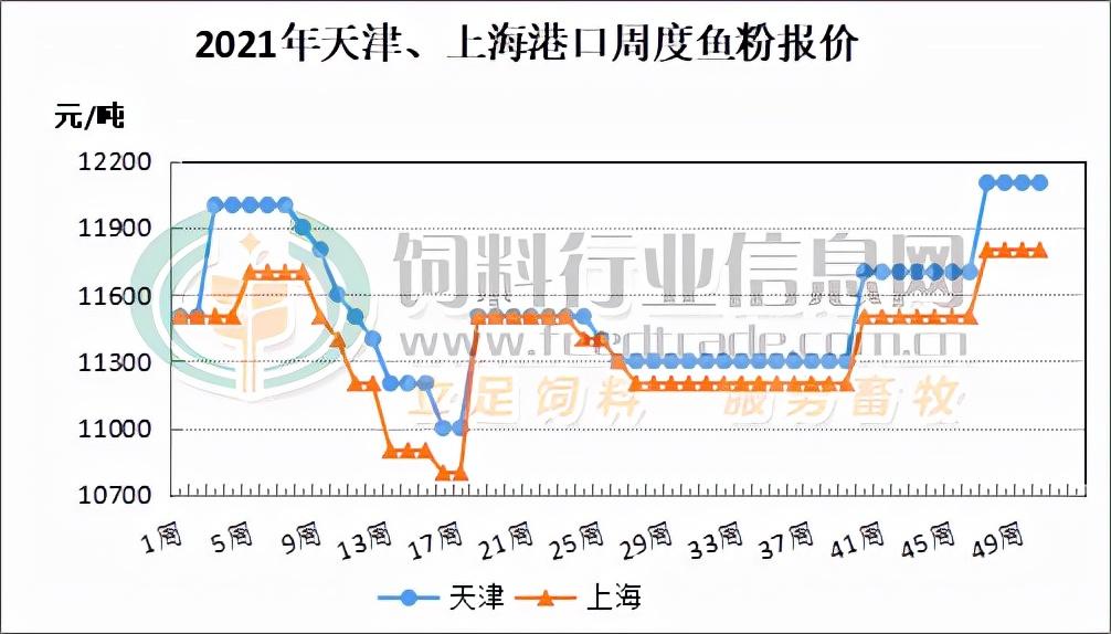 秘鲁鱼粉最新价格动态，学习变化，成就自信与梦想之路