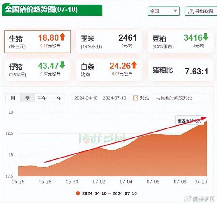 毛猪价格最新行情变化，学习、自信与成就感的源泉