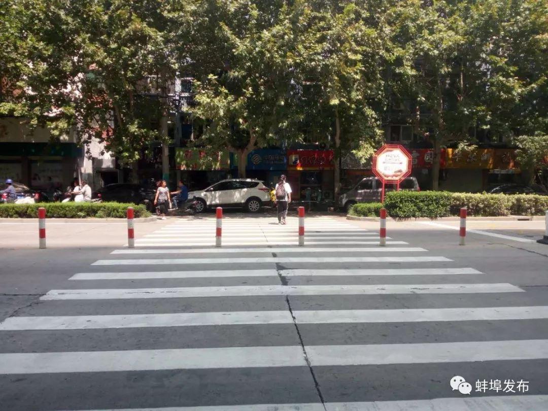 蚌埠云轨最新消息,​重磅消息蚌埠云轨建设进展顺利，未来出行更便捷！
