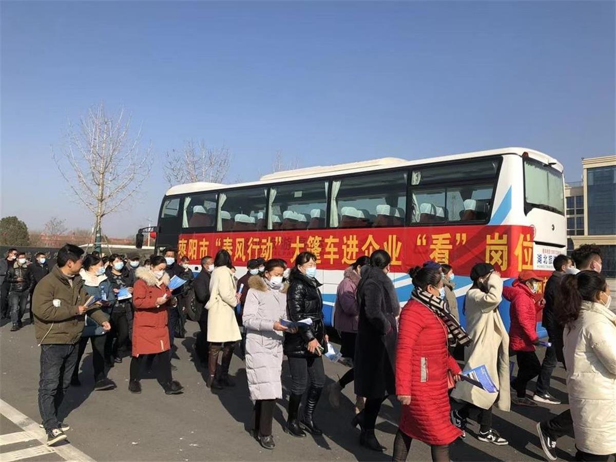枣阳市最新招聘信息概览发布，求职者的福音！