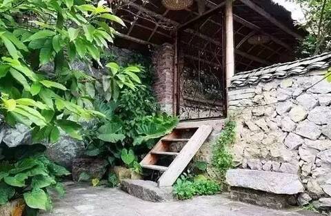 伟明环保最新消息,伟明环保最新消息，小巷中的绿色宝藏，一家隐藏的环境特色小店