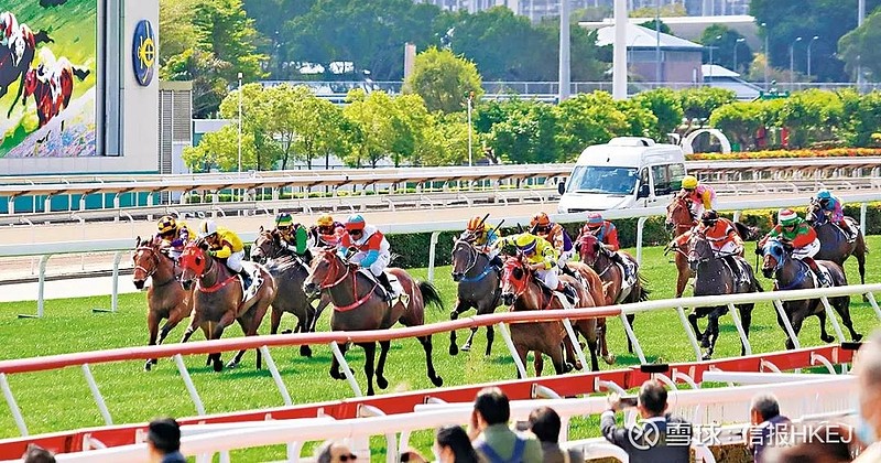 2024年香港买马资料,数据获取方案_AYG51.771运动版