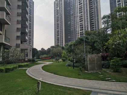 怡翠尊堤最新房价揭秘，小巷深处的惊喜探索