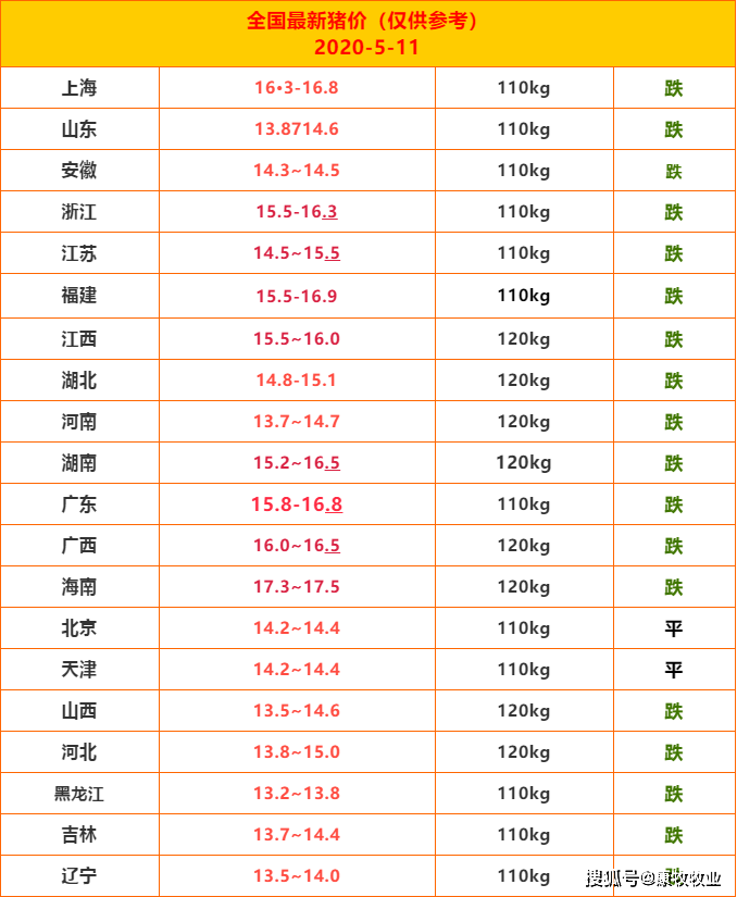 全国生猪价格最新行情，探寻温馨寻猪之旅的启示