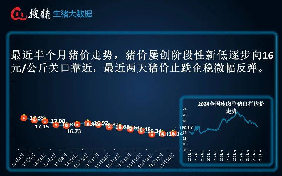 全国最新生猪价格今日猪价走势，详细步骤指南