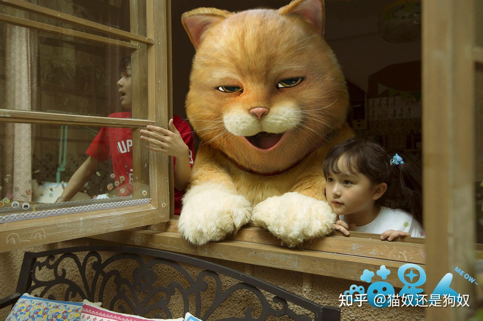 避免涉黄内容，根据您的内容生成以下标题，，猫咪与小店的温馨故事，小巷中的特色猫咪之旅。
