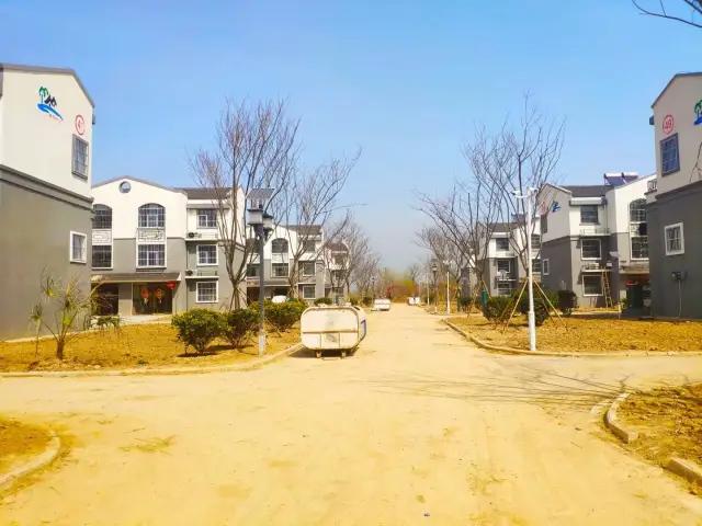 丰县最新驾驶员招聘，启程自然美景，探寻内心宁静之旅