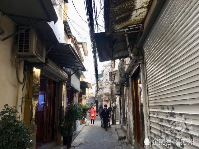 临清最新命案，巷弄深处神秘小店背后的真相揭秘