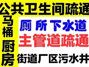 泸州小蚂蚁最新招聘,泸州小蚂蚁最新招聘——探寻小巷中的特色小店新篇章！