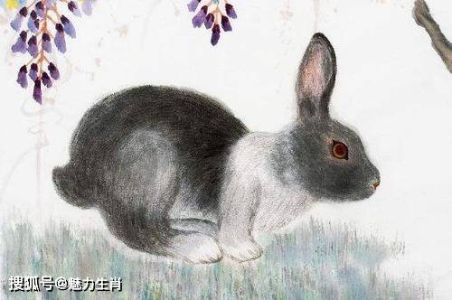 今天晚上澳门三肖兔羊蛇,实地评估数据策略_VR版50.669