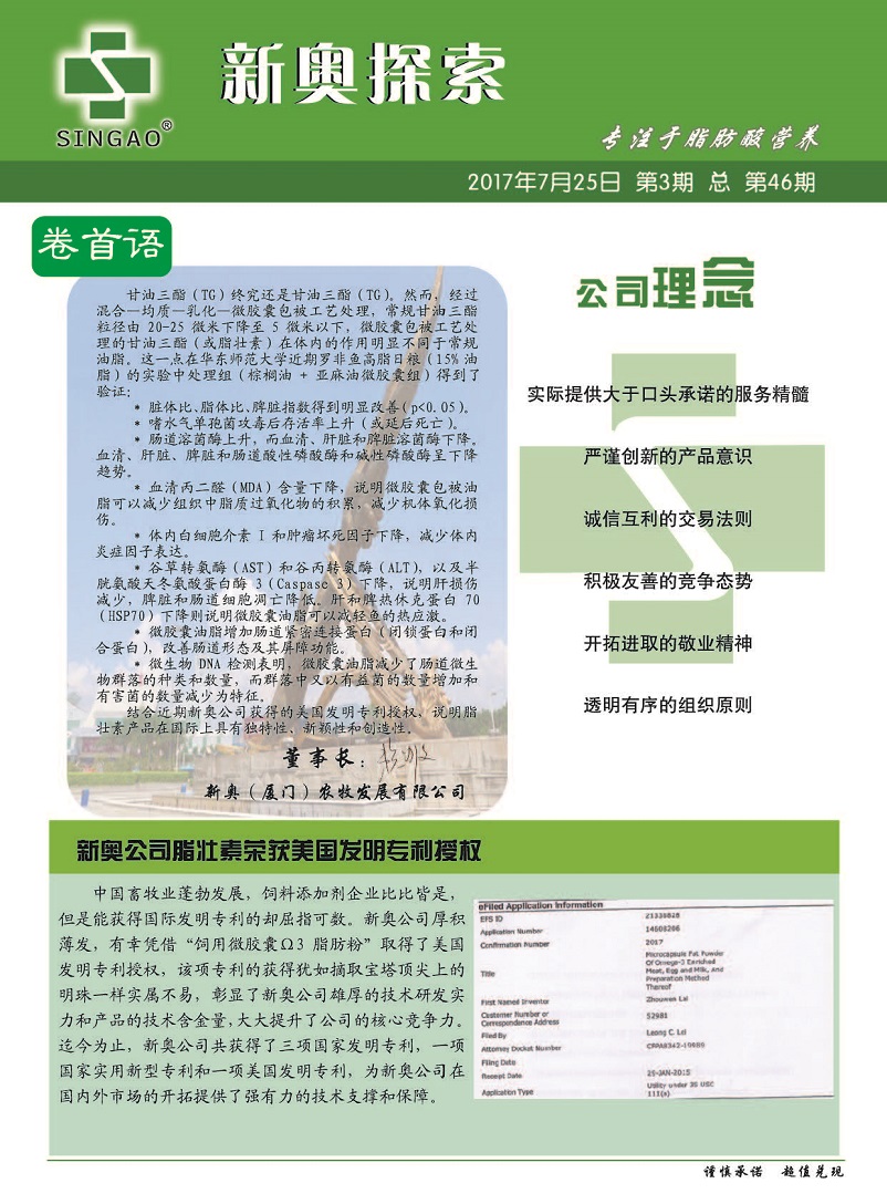 2024年新奥历史记录,实践案例解析说明_GM版68.633