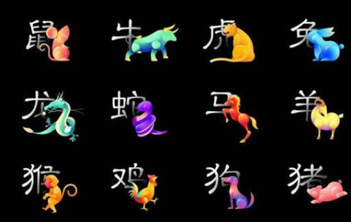 澳门今晚最准一肖中特生肖图片,前沿解答解释定义_视频版40.600