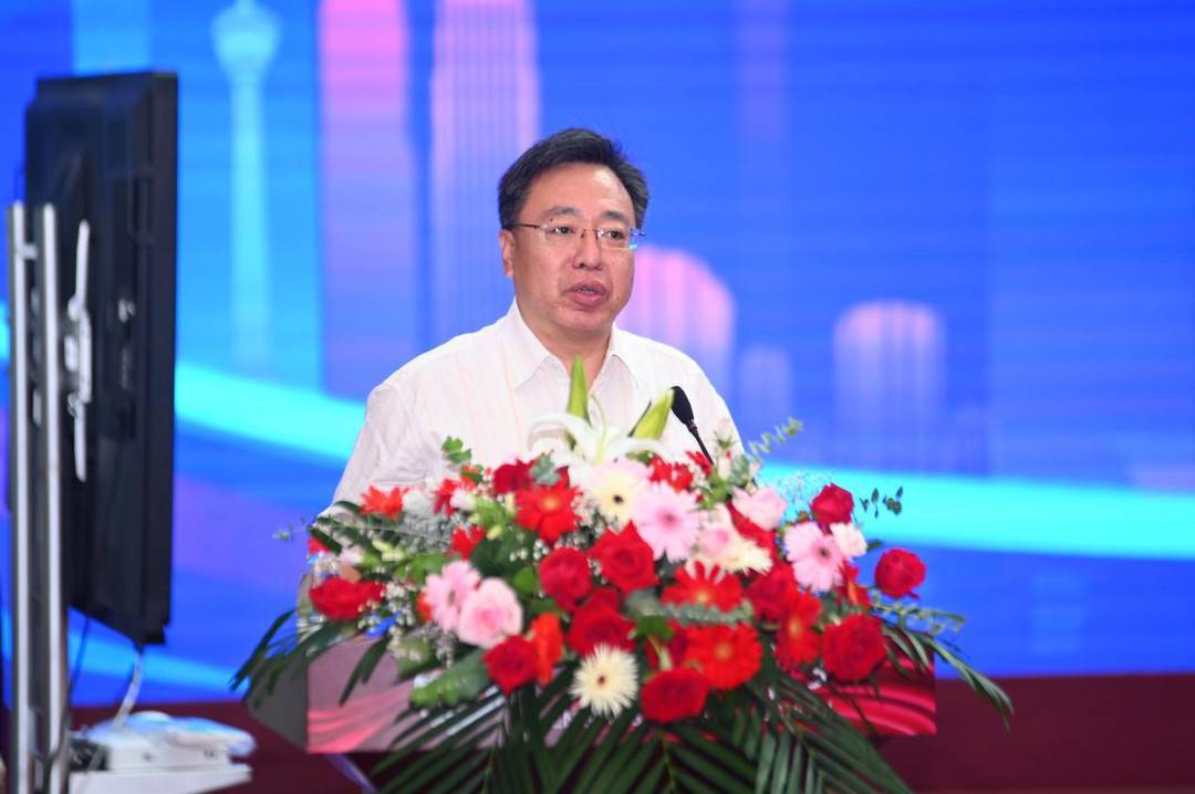 沙河会谱大全最新详解，步骤指南与资源汇总