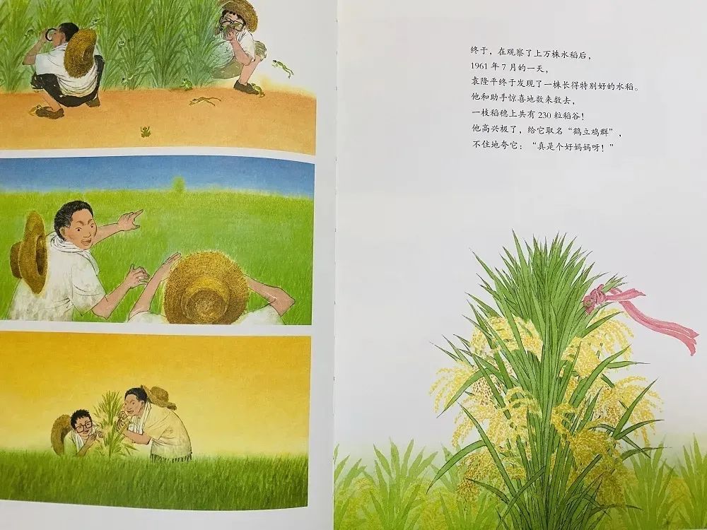 永城天气预报，阳光与励志的交织故事