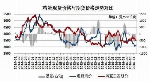 最新行情深度解析