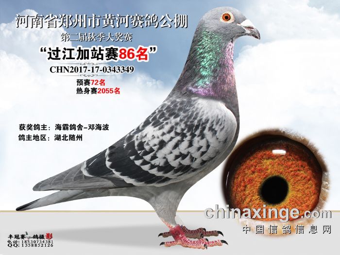 黄河公棚最新公告发布，关注最新动态与通知