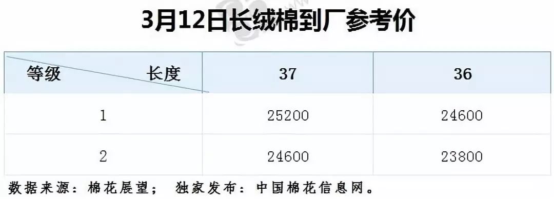 棉花现货最新价格动态更新，市场行情概览