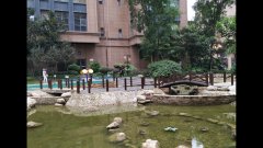 荣盛香榭兰庭最新闻,荣盛香榭兰庭最新闻，一场与自然美景的邂逅，寻找内心的平和之旅