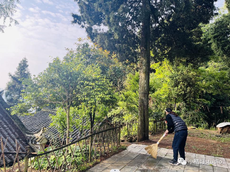 北纬科技股票最新动态，心灵与自然的奇妙旅行启程