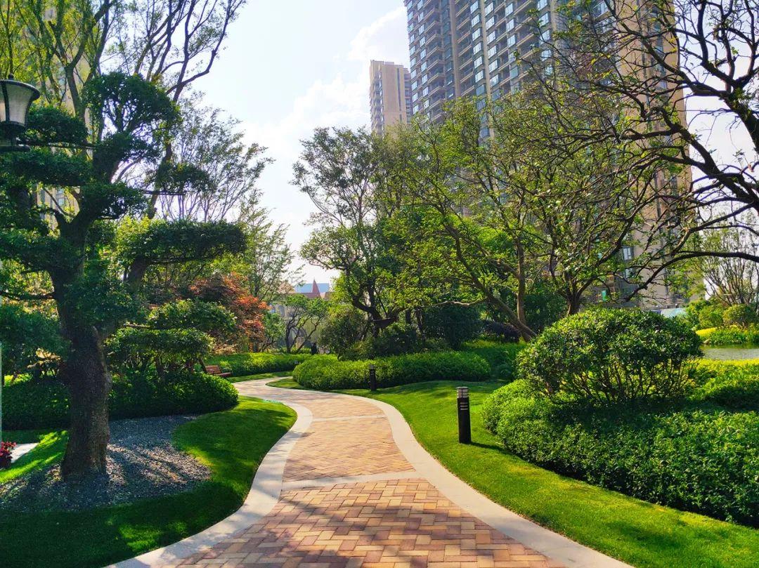 邯郸恒大绿洲最新动态，自然美景的探索之旅