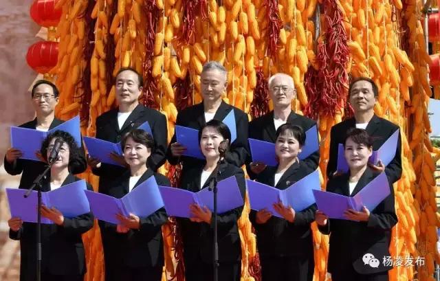 杨凌新闻网最新消息获取指南，一网打尽最新动态