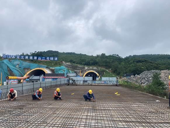 临大高速最新动态与小巷惊喜探索之旅
