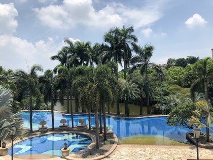 增城尚东阳光，最新消息与探索自然美景之旅，寻求内心平和与宁静