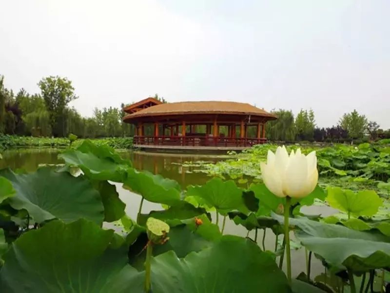 浐灞电厂搬迁最新动态，启程自然美景探险之旅