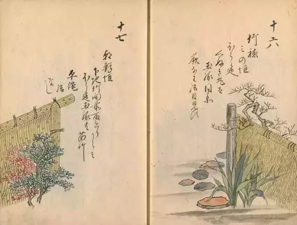 时代背景下的独特传奇，席靳南凉落最新更新