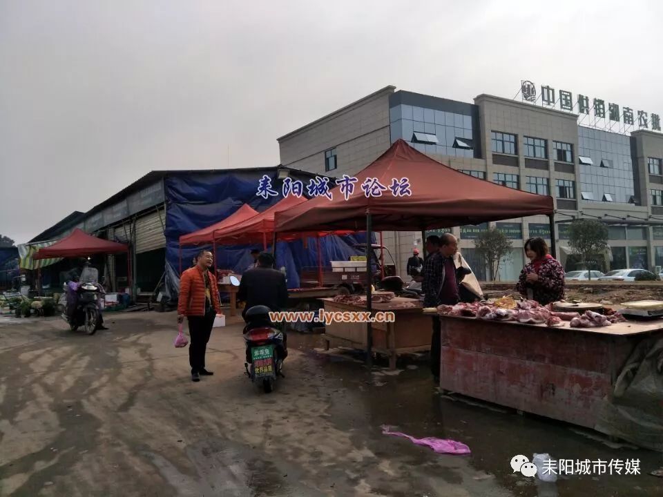 湘南大市场最新动态概览