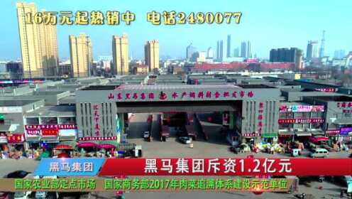 辛集黑马面粉最新动态及相关论述概述