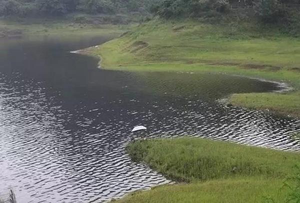 大足区胜天湖水库最新动态，日常趣事一瞥