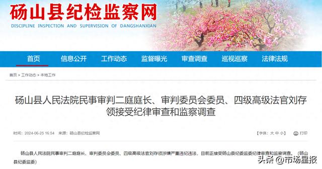 吴盛玉审查事件最新进展揭秘，进展与细节曝光