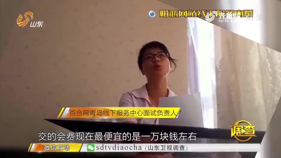 百合网最新骗术大全,百合网最新骗术大全，深度剖析与观点阐述