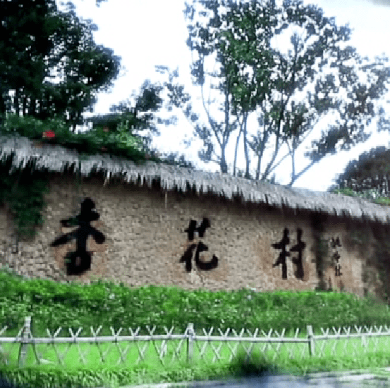 风流杏花村最新章节揭秘，背景、事件与地位全解析