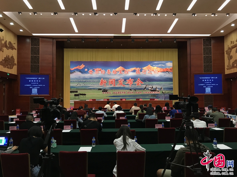 云南省委常委分工最新调整，探索自然美景之旅，追寻内心平静之旅