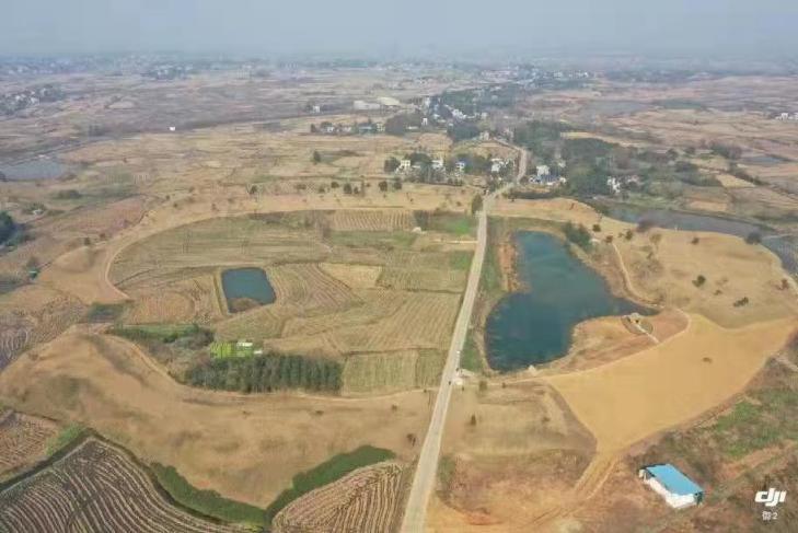 屈家岭最新建设蓝图揭秘，小巷深处的惊喜探索