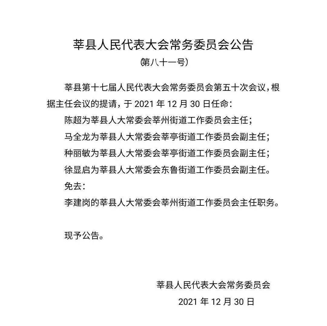 山东聊城最新人事任免动态更新