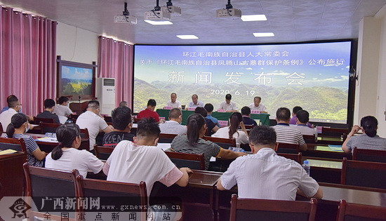 广西环江县最新新闻及其获取指南
